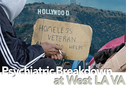 Psychiatric Breakdown at West LA VA