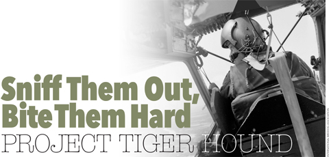 Sniff Them Out, Bite Them Hard: Project Tiger Hound